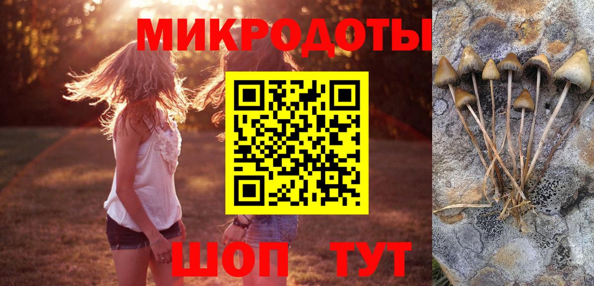 Галлюциногенные грибы GOLDEN TEACHER Похвистнево