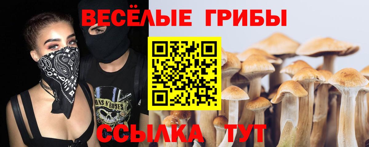 Галлюциногенные грибы Magic Shrooms  Вход с VPN  где найти   Похвистнево 