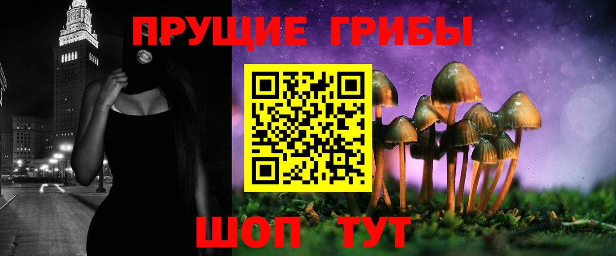 Сколько стоит  Бошки Шишки  Alpha PVP СК кристаллы  NBOMe  МЕФ кристаллы  ГАШ  Похвистнево  Вход с VPN 